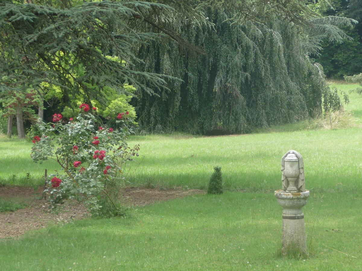 Le Chateau Champagny-sous-Uxelles Exteriér fotografie